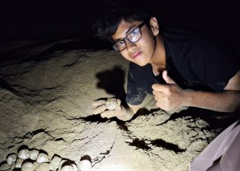 Ingin Jadi Dokter Hewan, Magang di Penangkaran Penyu