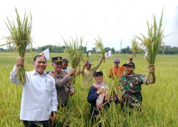 Bambang Haryo Panen Raya Padi di Tarik, Tegaskan Petani Harus Sejahtera