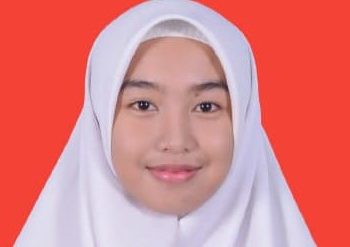 Sistem Administrasi Indonesia, Upaya Efisiensi dan Jebakan Korupsi