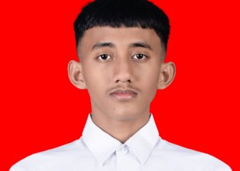 Administrasi Publik dan Oligarki, Dampak Politik Partai terhadap Sistem Birokrasi di Era Reformasi