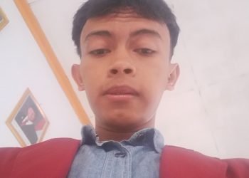 Sistem Administrasi Indonesia dan Ironi Pengelolaan Lahan Hijau