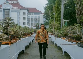 Giri Kedaton Bonsai 2025, Gresik Tampil Perdana Sebagai Pelopor Pameran Bonsai Skala Nasional