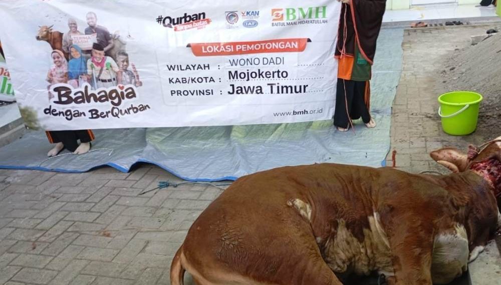 Qurban BMH untuk Keluarga Dhuafa, Disabilitas serta Santri Penghafal Qur’an