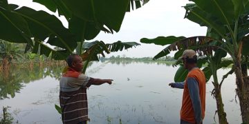 Bendungan Tak Memadai, Sawah dan Tambak 4 Desa di Dukun Gresik Terendam Banjir