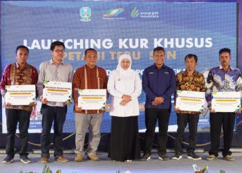 Petani Full Senyum Ada KUR Khusus Tebu, Khofifah Bawa Jatim Terdepan Swasembada Pangan