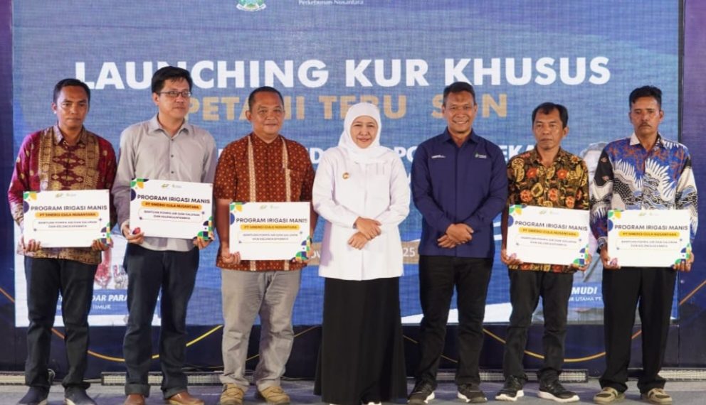 Petani Tebu Panen Senyum, Khofifah Hadirkan Program Nyata Tingkatkan Produksi Dukung Swasembada Gula