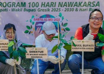 Gandeng Wilmar, Pemkab Gresik Hijaukan Kawasan Mangrove Karangkiring