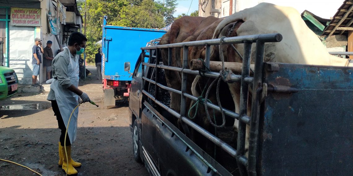 DKPP Kabupaten Kediri Targetkan Nol Kasus PMK