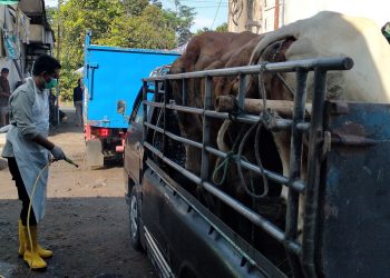 DKPP Kabupaten Kediri Targetkan Nol Kasus PMK