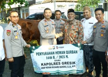 Hari Raya Idul Adha, Polres Gresik Salurkan 100 Hewan Kurban, MUI Gresik Berikan Apresiasi