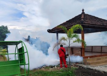 Kasus Demam Berdarah Meningkat, TK ABA 34 Kedanyang – SD Almadany Lakukan Fogging