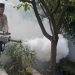 Dua Anak MD Akibat DBD, Bambang Haryo Fogging 586 KK di Perum Jaya Regency Desa Pepe, Sedati