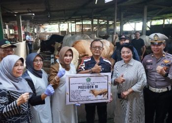 Tim Kesehatan Hewan Tes di 34 Lokasi, Hewan Korban Dinyatakan Sehat