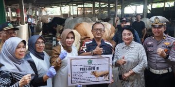 Tim Kesehatan Hewan Tes di 34 Lokasi, Hewan Korban Dinyatakan Sehat