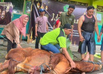 Idul Adha Mengedukasi Siswa SMA Negeri 1 Tarik Berkurban dan Kepedulian