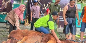 Idul Adha Mengedukasi Siswa SMA Negeri 1 Tarik Berkurban dan Kepedulian