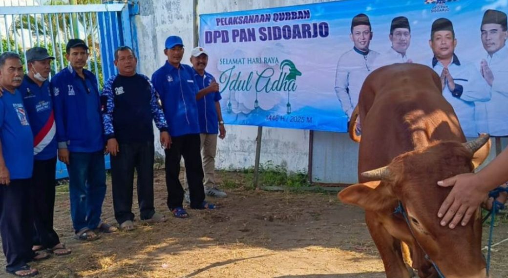 DPD PAN Sidoarjo Rayakan Idul Adha dengan Berkurban Seekor Sapi