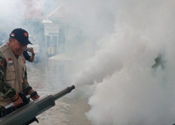 10 Warga Pucang Terserang DB, Bambang Haryo Langsung Gercep Lakukan Fogging