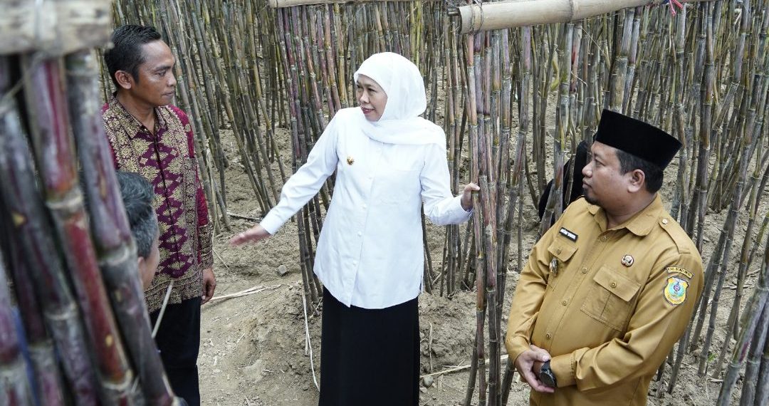 Transaksi Ekonomi Tertinggi di Nasional, Khofifah Sejahterakan Petani Hutan Jatim