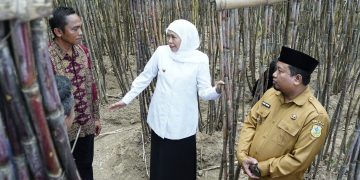 Transaksi Ekonomi Tertinggi di Nasional, Khofifah Sejahterakan Petani Hutan Jatim
