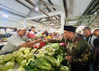 Blusukan ke Pasar Krembung, Bambang Haryo Bantu Perbaikan Talang Bocor, Apar hingga Tambahan Lampu Penerangan