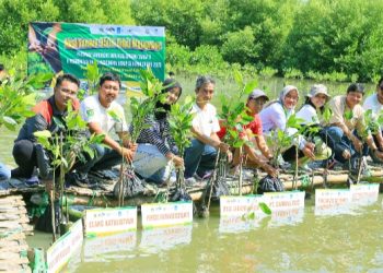 Tingkatkan Ketahanan Ekosistem Pesisir Gresik, Cargill Tanam 3.500 Bibit Mangrove