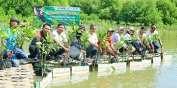 Tingkatkan Ketahanan Ekosistem Pesisir Gresik, Cargill Tanam 3.500 Bibit Mangrove