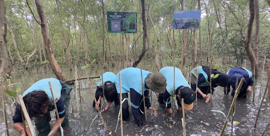 Tanam ’Mangrove’, Kado untuk HUT Surabaya