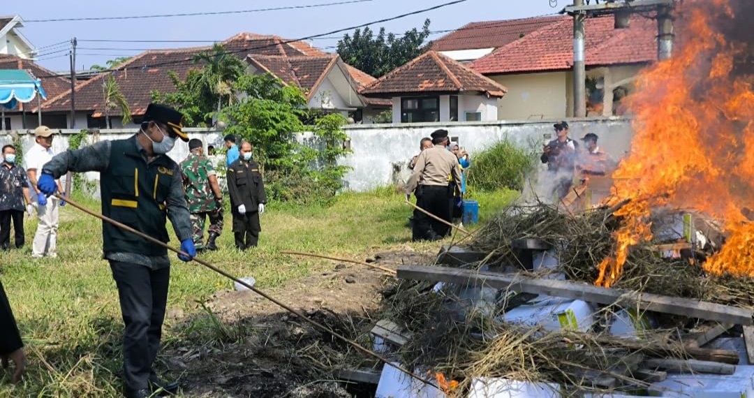 4,4 Ton Benih Jagung Thailand, Dimusnahkan Karantina Jatim