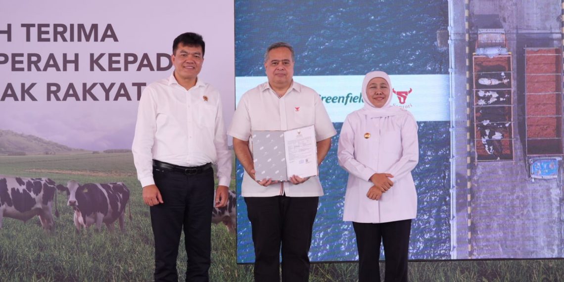 Ribuan Sapi Perah Dilepas Barantin, Guna Kemitraan Peternak di Jatim