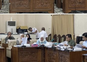 Panitia Khusus RPJMD 2025-2029 Sudah Sepakat, Ternyata Punya Target untuk Banyuwangi