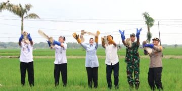 Terobosan Aman dan Ramah Lingkungan, Bojonegoro Kembangkan Rubuha untuk Pengendalian Hama Tikus Sawah
