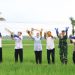Terobosan Aman dan Ramah Lingkungan, Bojonegoro Kembangkan Rubuha untuk Pengendalian Hama Tikus Sawah