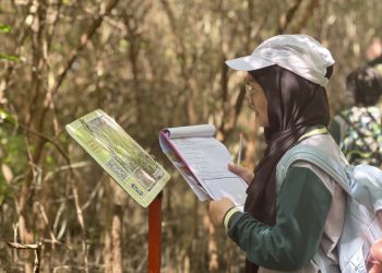Belajar Ekosistem di Kebun Raya Mangrove Gunung Anyar
