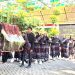 Peringati HUT RI ke 80 di  SMA Negeri Krembung, Dari Permainan Tradisional Hingga Pawai Budaya