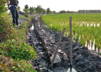 Ada Aroma Tak Sedap Di P3-TGAI Kecamatan Tanggulangin