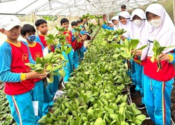 SD Al Muslim Wujudkan Generasi Peduli Lingkungan Lewat Outing Class di Kaliandra