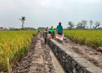 Ketua HIPPA Sumber Makmur Akui Adanya Pemotongan Anggaran P3-TGAI