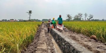 Ketua HIPPA Sumber Makmur Akui Adanya Pemotongan Anggaran P3-TGAI