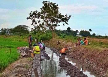 Pasir Dicampur Sirtu, Proyek P3-TGAI Dikerjakan Didalam Genangan Air Oleh P3A Maju Mapan Waung