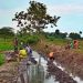 Pasir Dicampur Sirtu, Proyek P3-TGAI Dikerjakan Didalam Genangan Air Oleh P3A Maju Mapan Waung
