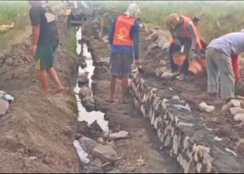 Dipihakketigakan? Pekerja Proyek P3-TGAI Desa Pagerngumbuk Dari Luar Kabupaten Sidoarjo