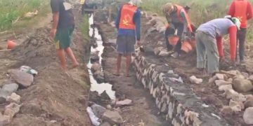 Dipihakketigakan? Pekerja Proyek P3-TGAI Desa Pagerngumbuk Dari Luar Kabupaten Sidoarjo