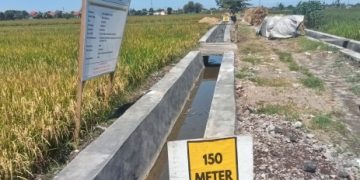 Hippa Sumber Rejeki II ‘Diduga’ Gunakan Material Tak Sesuai Ketentuan di P3-TGAI Desa Plaosan