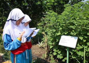 Siswa SD Al Muslim Sidoarjo Lestarikan Tumbuhan Melalui Inovasi Pertanian di BRMP