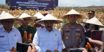 Kementerian Imigrasi dan Pemasyarakatan RI Panen Raya Jagung di Desa Bulang, Sinergi Imigrasi, Pemasyarakatan, dan Masyarakat Wujudkan Ketahanan Pangan