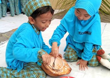 Anak-Anak TK Al Falah Darussalam Dikenalkan Pohon Kehidupan “Useful Coconut”