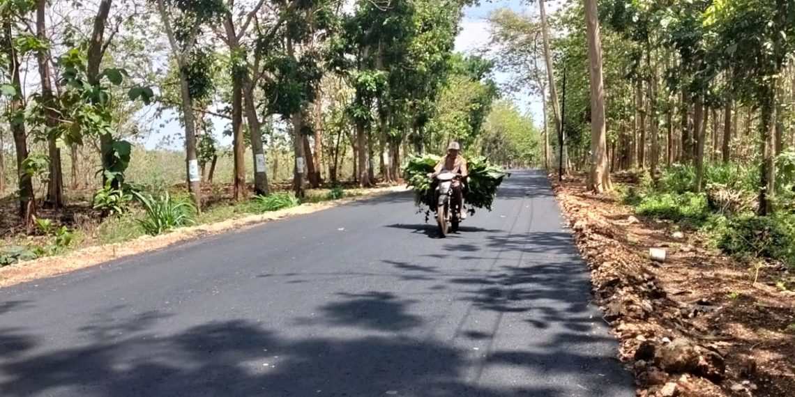 Dongkrak Akses Ekonomi Warga, Pemkab Tuban Tingkatkan Jalan Grabagan – Semanding