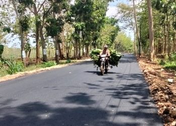 Dongkrak Akses Ekonomi Warga, Pemkab Tuban Tingkatkan Jalan Grabagan – Semanding