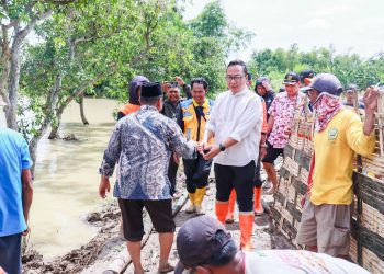 Tinjau Banjir di Desa Glindah, Wabup Alif Tegaskan Perbaikan Tanggul Kali Lamong Segera Dilakukan